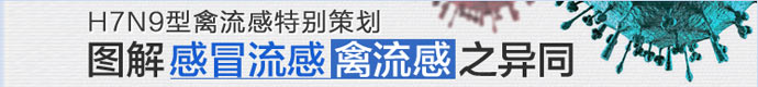 展覽公司